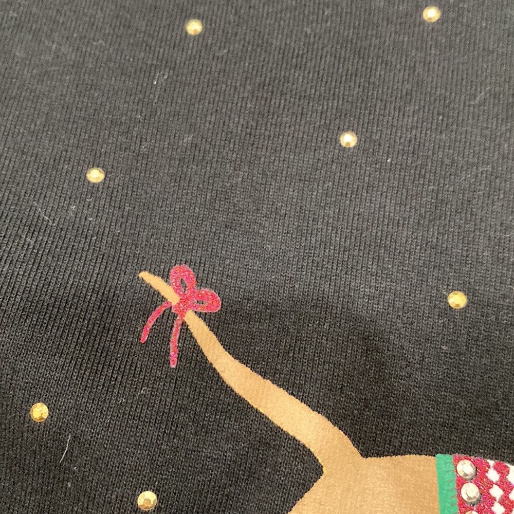 NWT.  Kendra Scott, women’s size Large, long sleeve Doxie Christmas t-shirt. - Picture 5 of 14